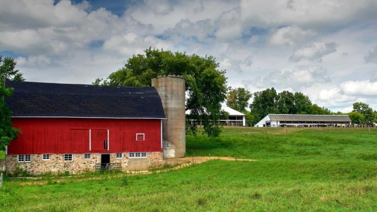 Merton Hill Farm – Faye Gehl Conservation Foundation